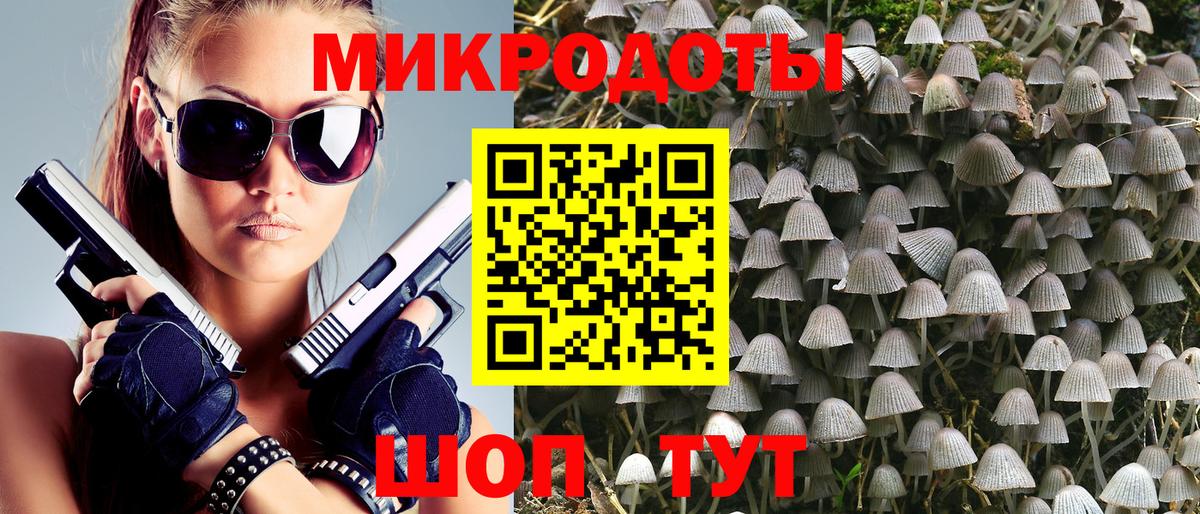 Галлюциногенные грибы Psilocybe Прохладный
