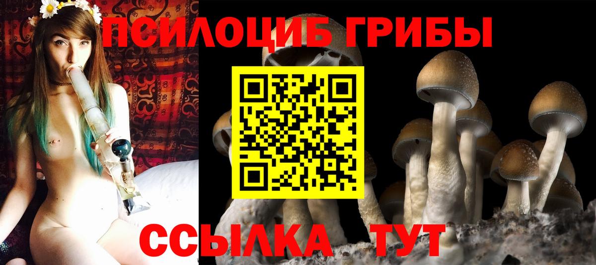 Псилоцибиновые грибы MAGIC MUSHROOMS  Вход с VPN  Прохладный 