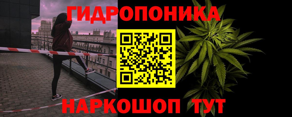 Прохладный  Канабис семена  Марихуана планчик  Вход с VPN 